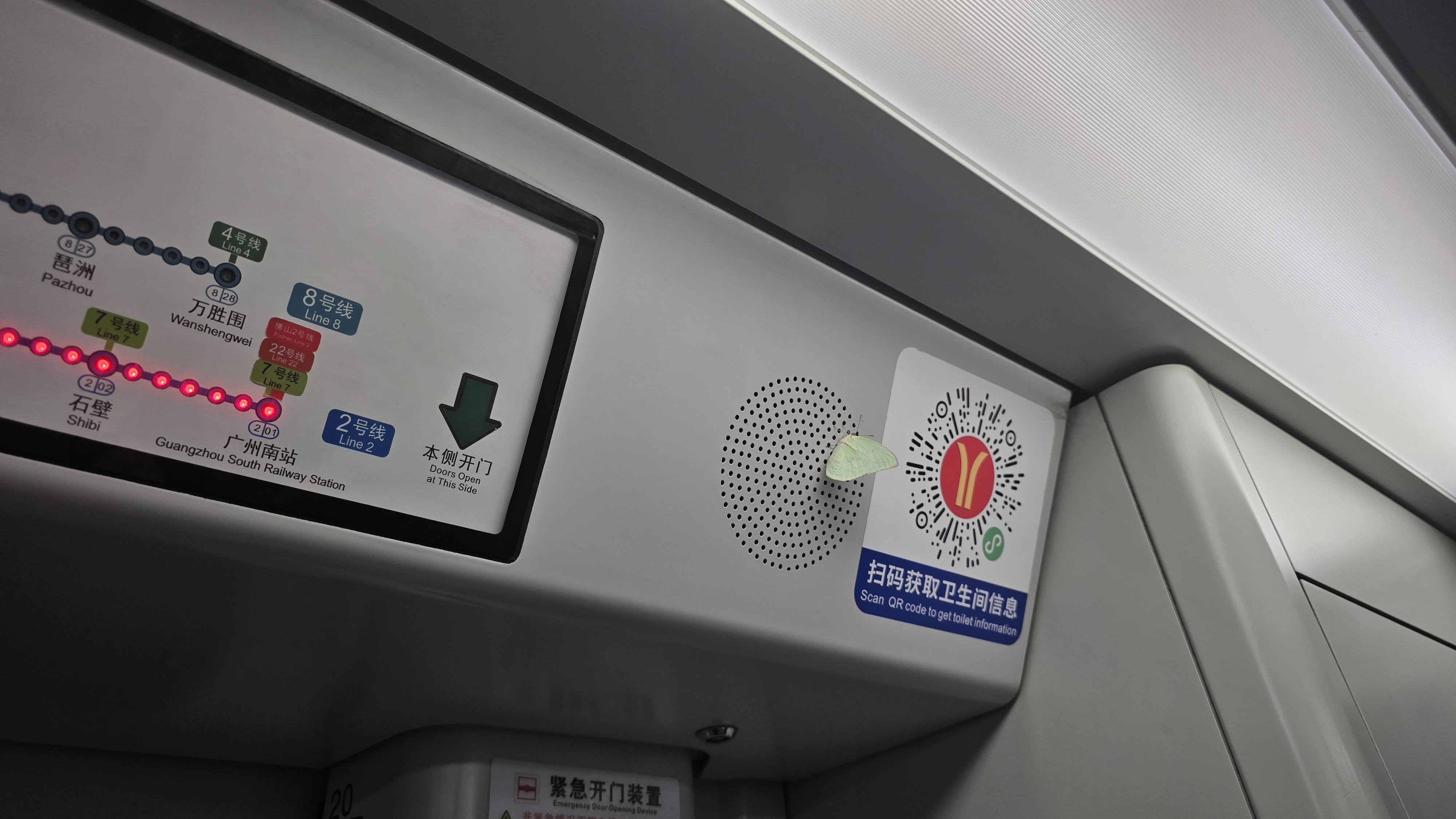 可能是羊角特产：地铁里的蝴蝶